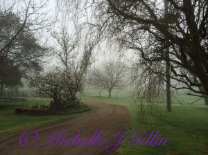 last mornings of Winter, foggy