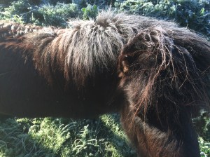 Coldest winter in 18 years