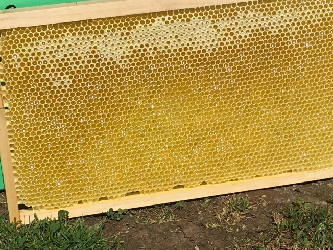 This frame weighed 2065 grams